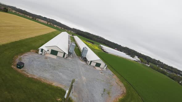 Large Barn for animals and fodder silo on agricultural fields in USA ...