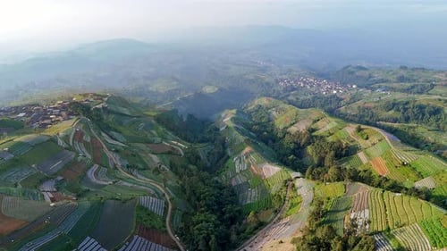 Aerial View of Terraced Farmland in Rolling Hills