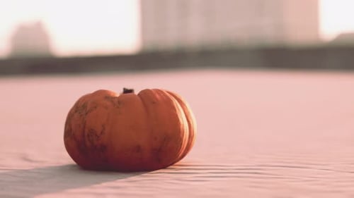 Halloween Pumpkin on the Beach Dunes