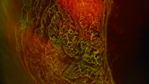 Abstract Flowing Yellow Hues