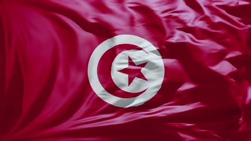 Realistic Waving Flag of Tunisia National Symbol