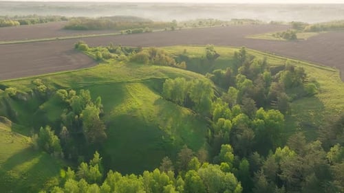 Park Hill Green View Gartenlandschaft Sommer Berge Pflanze