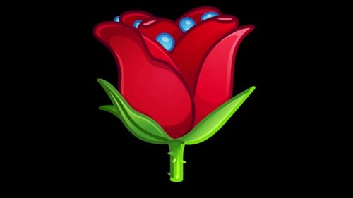 Decorative Rose Bloom and Dewdrop Animation
