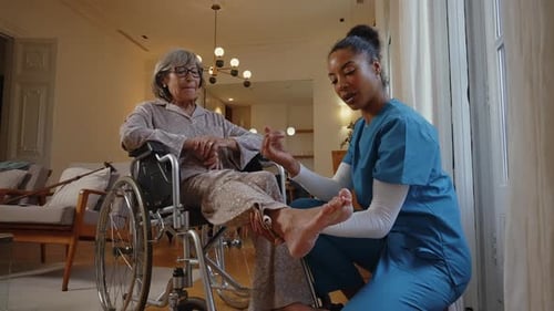 Healthcare Worker Assists Senior Woman in a Wheelchair
