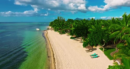 Aerial View of Beach with Palm Trees and Perfect Turquoise Sea Water Relaxing and Exotic Drone View