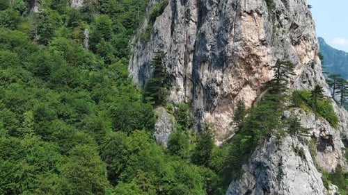 Kiefer auf den Felsen, Berglandschaft