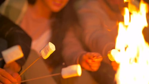 Friends Roasting Marshmallows Around Campfire at Night