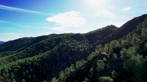Aerial View of Lush Pine Forest and Lake in Koycegiz Turkiye