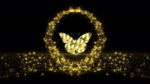 Elegant Golden Butterfly With Sparkling Star Trails On Dark Background, Golen Luxury Butterfly