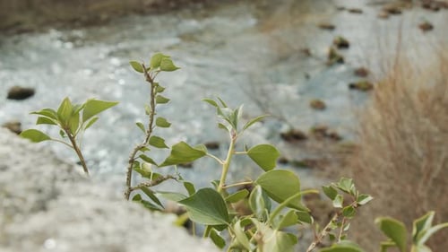 steady shot of a river