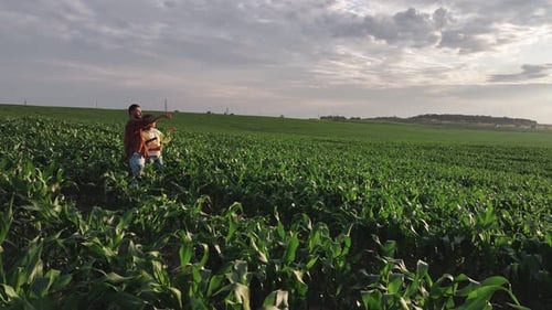 Standing, conception of quality control. Man and woman are on the corn agricultural field.