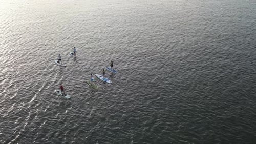 People Doing Stand Up Paddle Boarding On Blue Sea With Calm Waves During Sunset. Aerial
