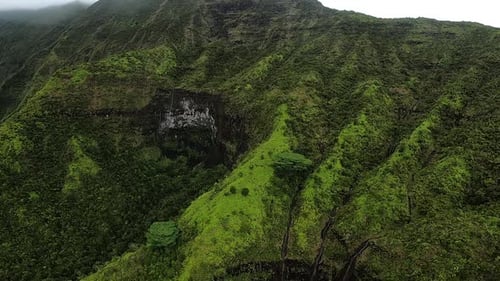 Aerial View of Rolling Hills and Green Landscape in Kauai Hawaii