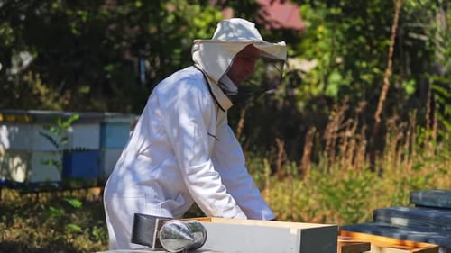 Male apiarist on a bee farm. Beekeeper in white protective suit working near beehives among nature.
