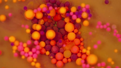 A Fusion of Colors and Multicolored Bubbles in an Artistic Performance