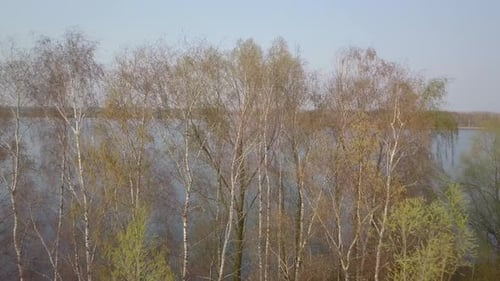 Fly over the trees going to the lake drone footage in 30 fps