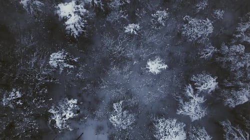 Montagnes enneigées et brouillard - 2K