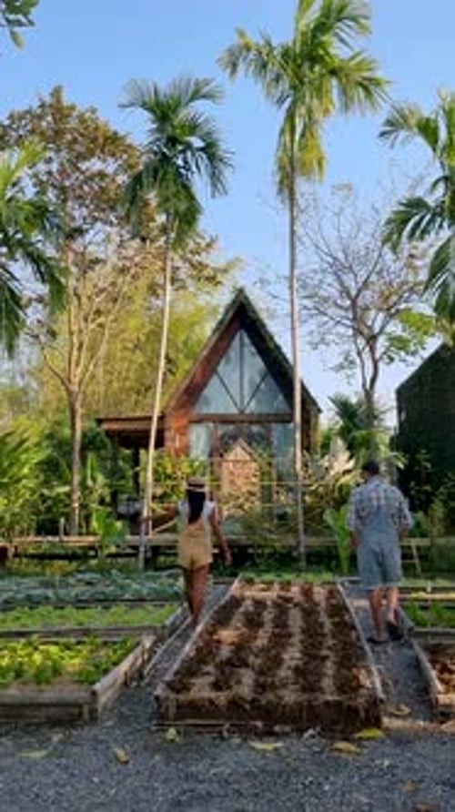 Huerta comunitaria
