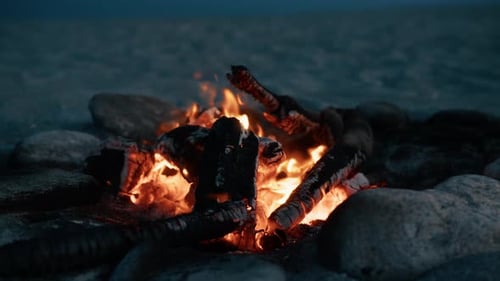 Cozy And Relaxing Bonfire Burning In The Morning