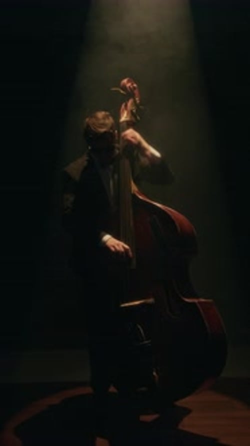 Man Playing Upright Bass in Dramatic Spotlight in Club Vertical