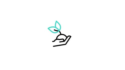 Minimalist Line Art Hand Holding Growing Plant Icon Animation