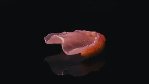 Modèle 3D de dents en rotation sur fond noir, dentisterie