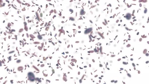 Animated Microscopic Organisms Floating Medical Background