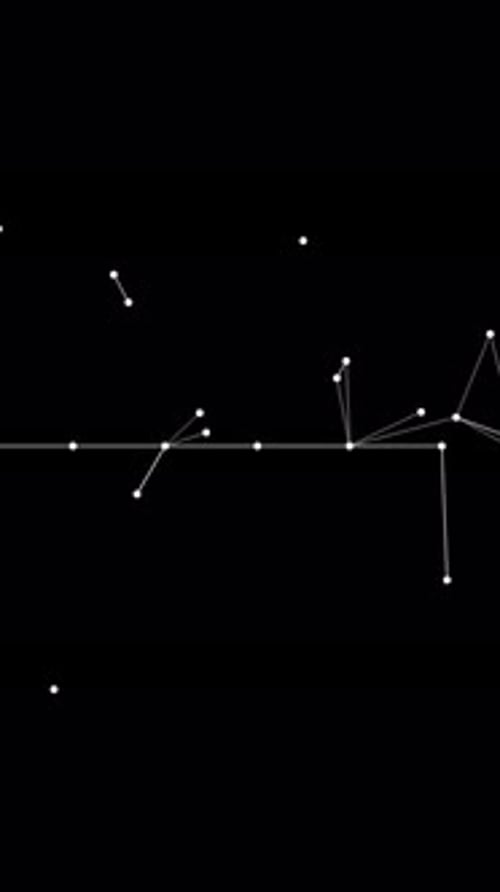 Abstract Constellation Animation Drifting on Black Background