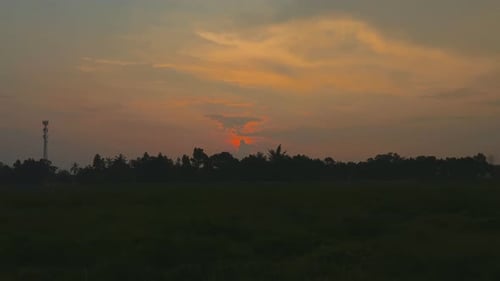Sunset Behind Silhouetted Trees and Field