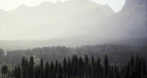 Misty Mountain Landscape with Dense Forest During Early Morning Hours