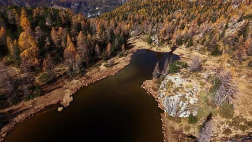 Vista aérea del lago Mufule en Sondrio, Italia: lago alpino oscuro rodeado de árboles otoñales. FPV