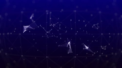 Data Network Connect Information