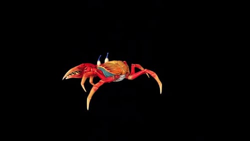 Seamless 3D Crab Rotation Animation
