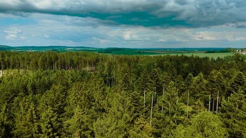 Green Forest Covering Hilly Terrain Under Dramatic Sky Pine Trees Spreading Across Summer