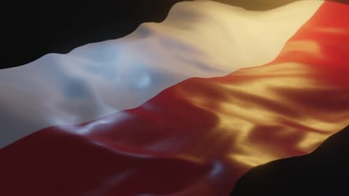 Realistic Waving Flag Fabric Motion Background