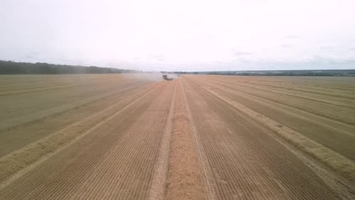 Wheat field aerial view in Ukraine
