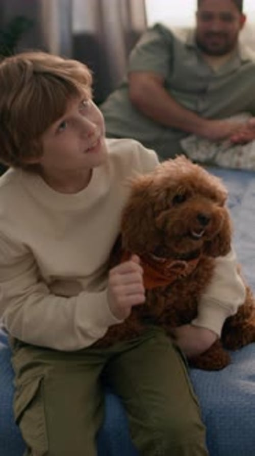 Boy Hugs Brown Dog on Bed Indoors