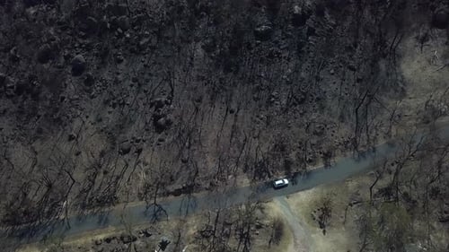 Aerial: Top down shot following a vehicle as it drives along a road through burnt trees and blackene