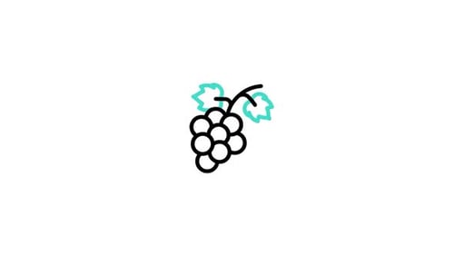 Minimalist Grape Outline Icon Reveal Animation