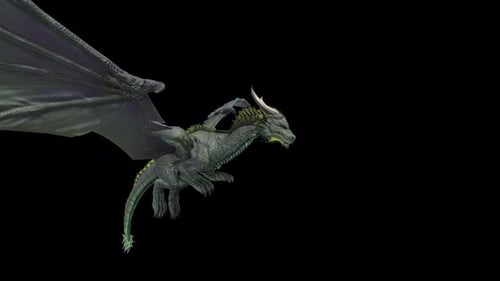Dragon : 3D