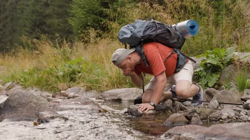 Male Hiker Drinking Water From Creek in Forest