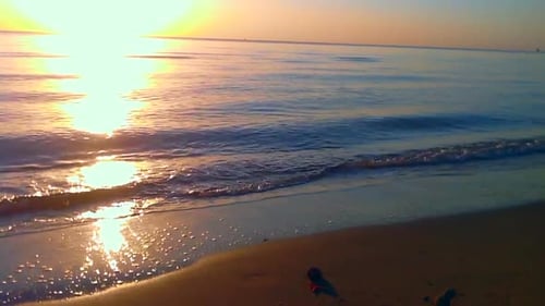 Watching the early morning sun rise across the Ocean