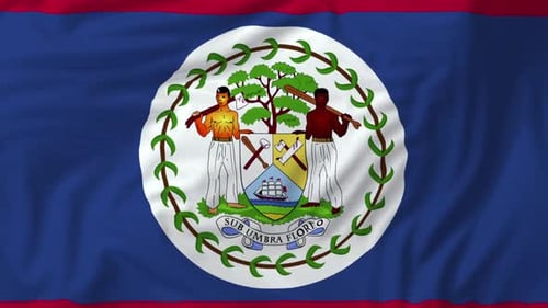 Realistic Waving Flag of Belize for International Presentations