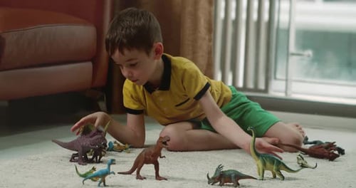 Boy Plays With Dinosaur Toys on Rug Indoors