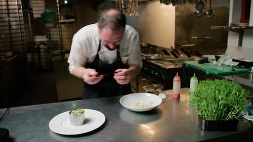 Chef Prepares Gourmet Dish in Commercial Kitchen