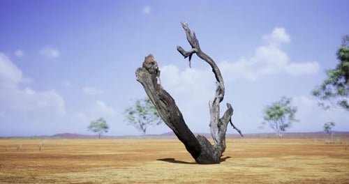 Dead Tree Trunk Animation in Dry Desert Environment