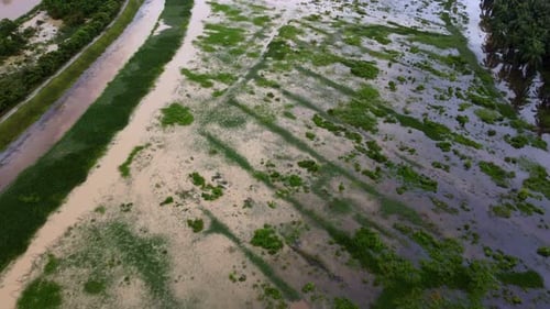 Aerial view flood happen at wetland