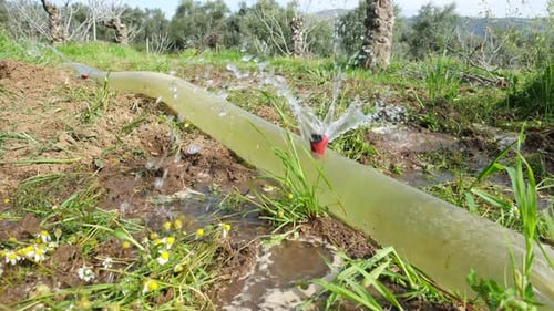 Close-up return of water coming out of irrigation pipe