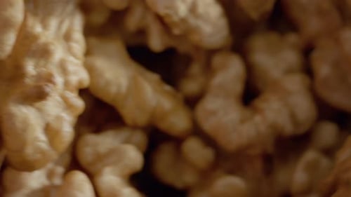 Discover the intricate details of a walnut kernel in close-up view