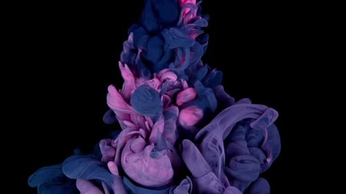 Abstract Pink and Blue Ink Flowing Together